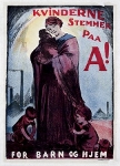Kvinder som målgruppe ved valget 1920