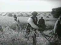 Landarbejdere i 1920erne