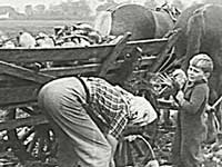 I 1930'erne arbejder de fleste børn i landbruget