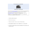 Filmopgaver: Organisering og sammenhold