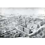 Carlsberg i fugleperspektiv