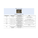 Historieroulette - drenge