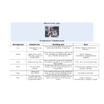 Historieroulette - piger