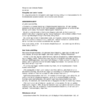 20040901 - Jyllands Posten