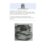 Historien om madpakken