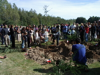 Ved en højtidelighed i Albertslund 6/9 2003 plantede pårørende til 6 dræbte og forsvundne chilenere et træ til minde om en hver af dem