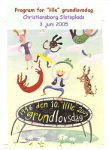 'Lille' grundlovsdag, 2005